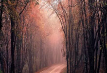 开云体育入口网址-马尔默客场不敌，出局概率增加！