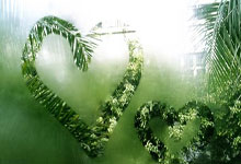 开云体育app下载安卓-卡洛·安切洛蒂鼓舞球员，埃弗顿再次胜出