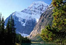 开云体育入口网址-马尔默客场不敌，出局概率增加！