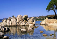 开云体育入口网址-马尔默客场不敌，出局概率增加！