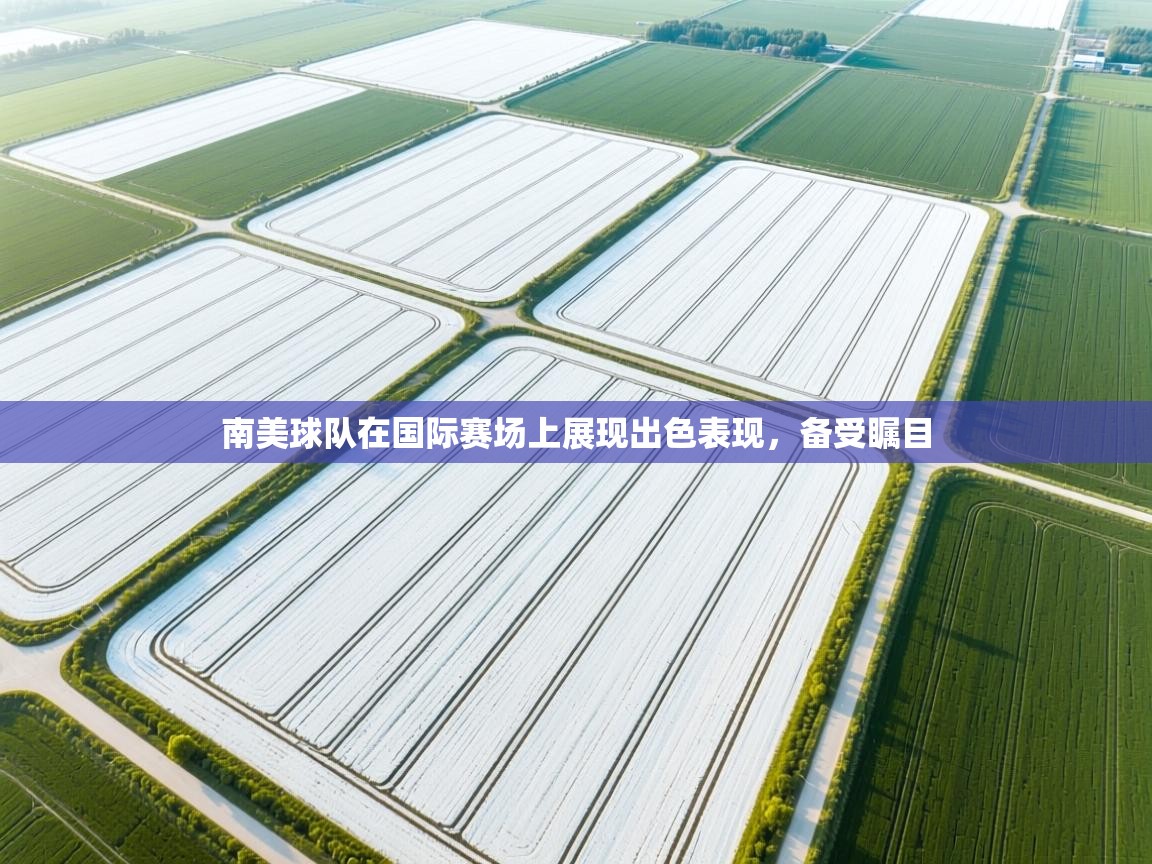 开云体育app下载链接-南美球队在国际赛场上展现出色表现,备受瞩目  第3张