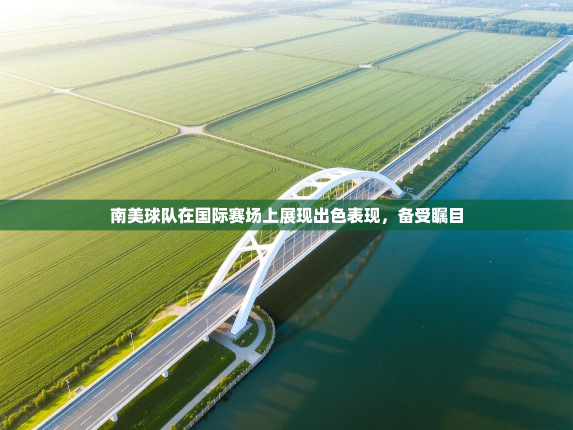 开云体育app下载链接-南美球队在国际赛场上展现出色表现,备受瞩目  第2张