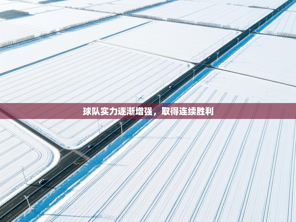 开云体育官方版下载-球队实力逐渐增强，取得连续胜利