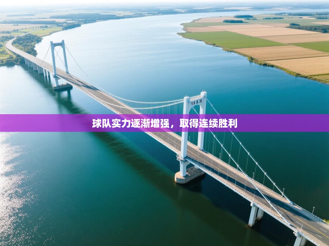 开云体育官方版下载-球队实力逐渐增强，取得连续胜利  第3张