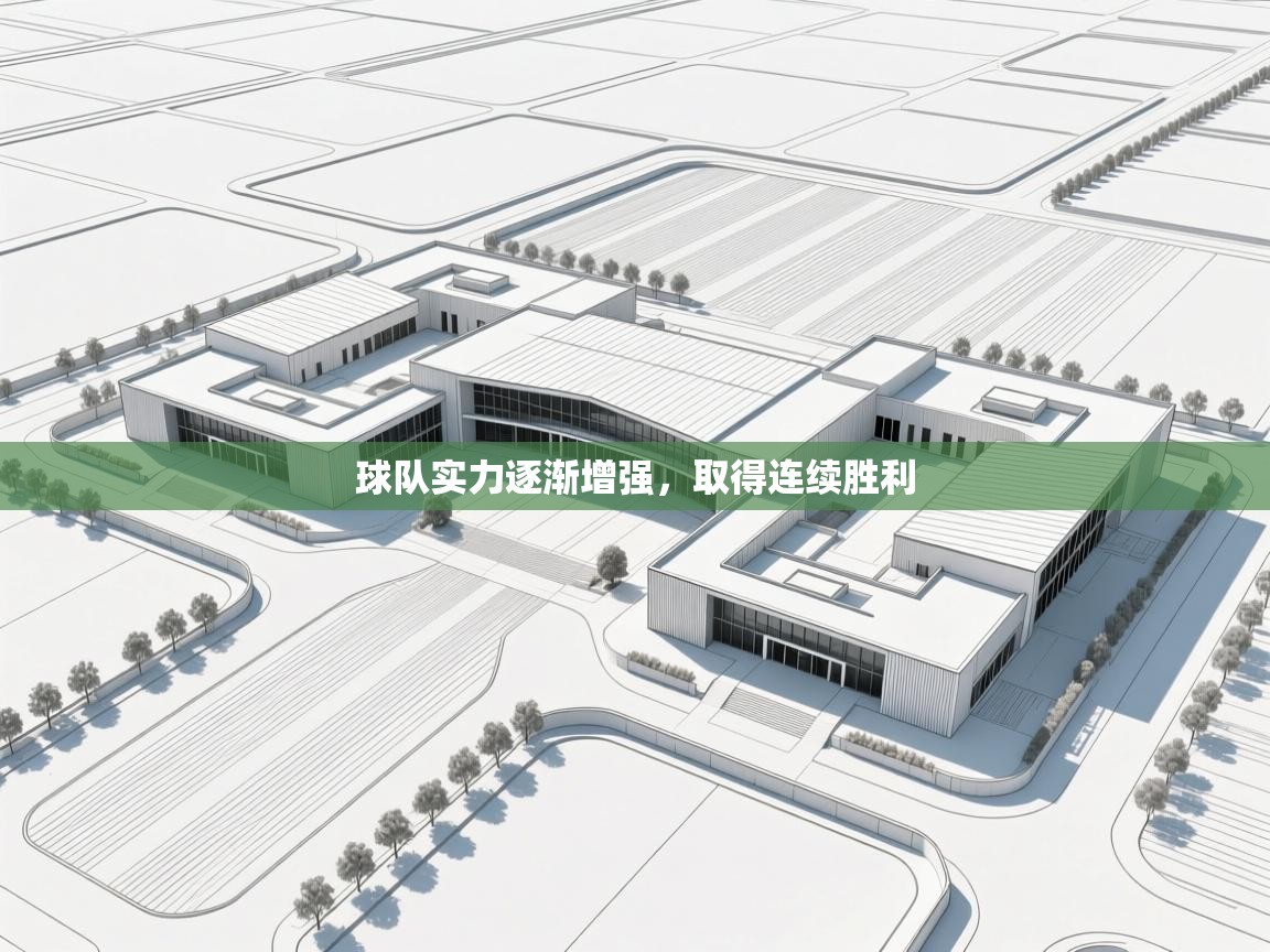 开云体育官方版下载-球队实力逐渐增强，取得连续胜利  第4张