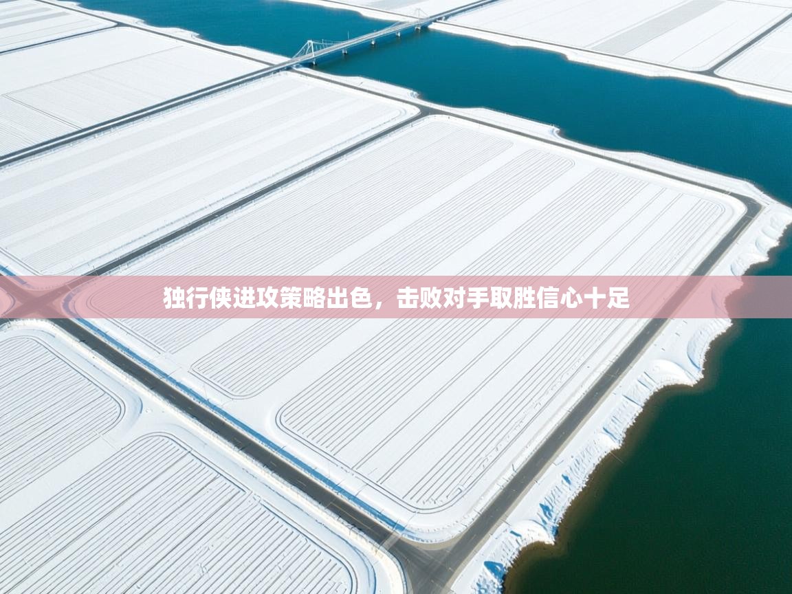 开云邀请码-独行侠进攻策略出色，击败对手取胜信心十足