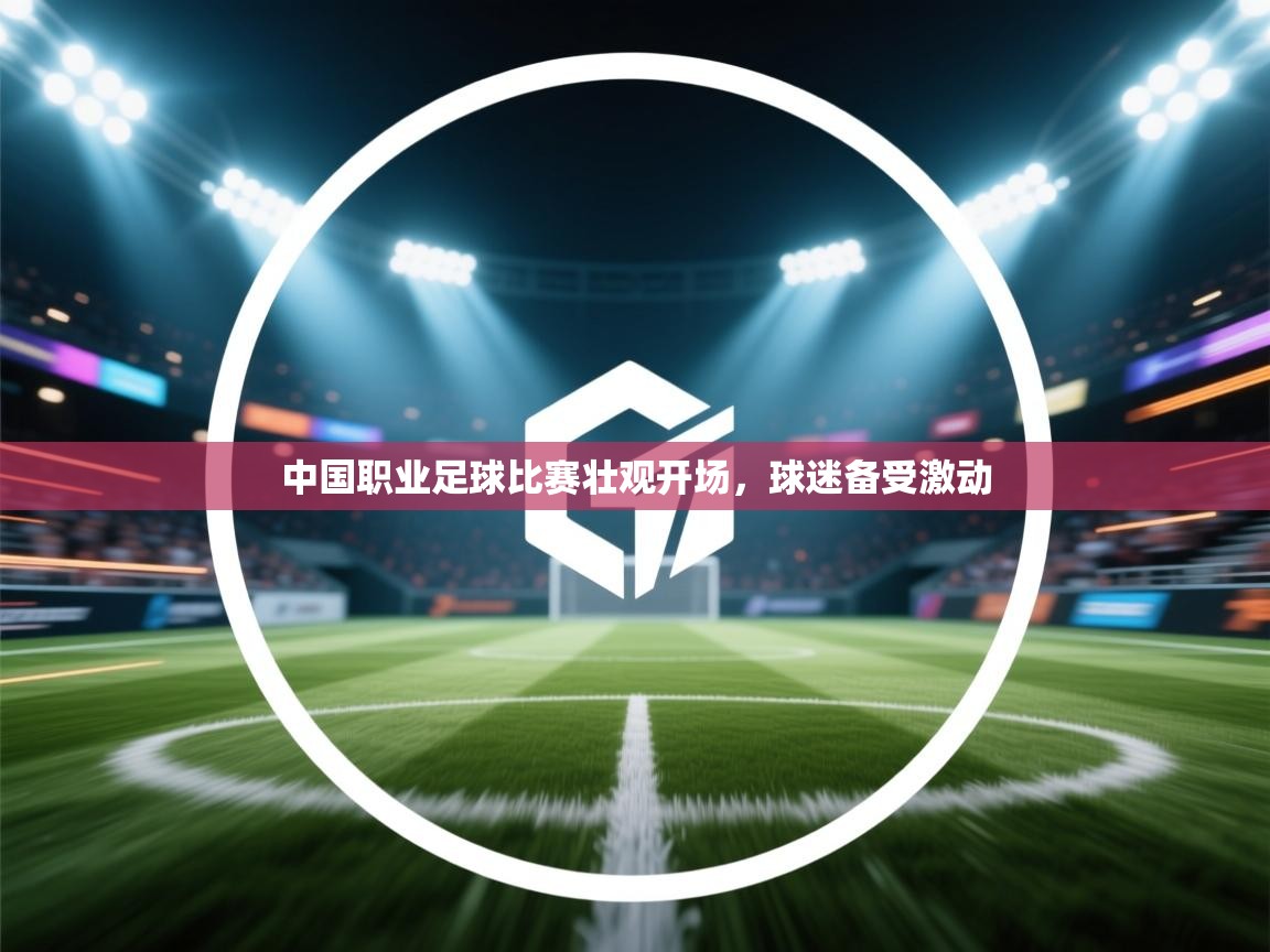 开云体育修改登录密码-中国职业足球比赛壮观开场,球迷备受激动 第2张