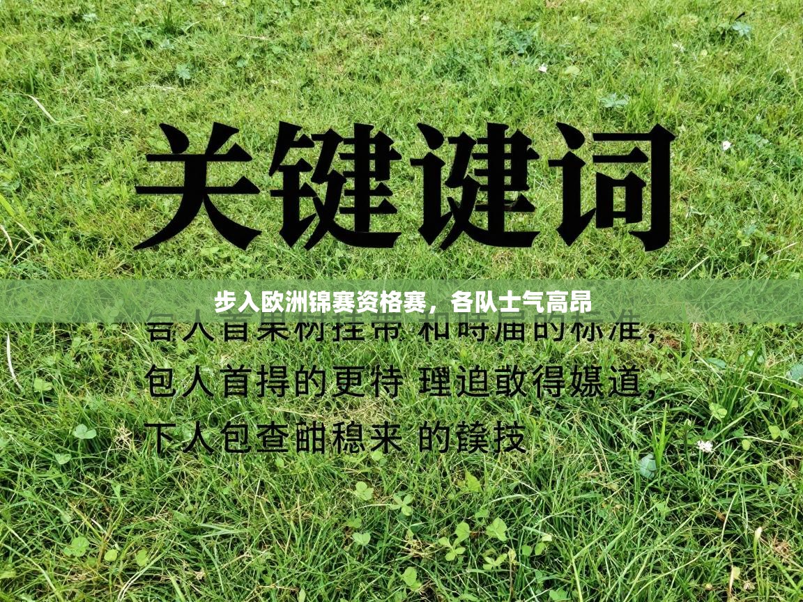 云开体育入口-步入欧洲锦赛资格赛，各队士气高昂  第2张