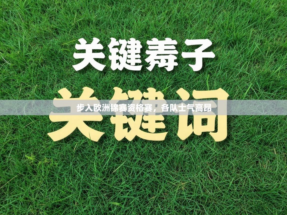 云开体育入口-步入欧洲锦赛资格赛，各队士气高昂  第3张