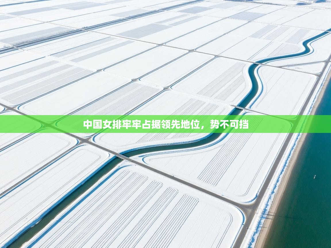 开云体育app官网入口-中国女排牢牢占据领先地位，势不可挡  第2张