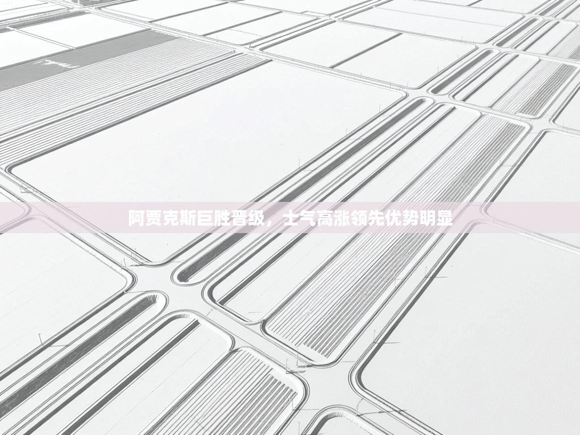 开云·体育kaiyun官方网站_kaiyun sports-阿贾克斯巨胜晋级,士气高涨领先优势明显 第4张