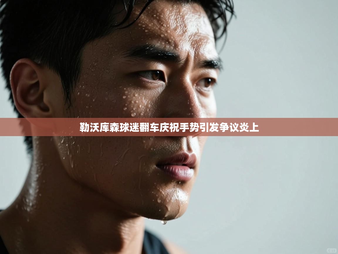 开云体育入口邀请码-勒沃库森球迷翻车庆祝手势引发争议炎上  第3张